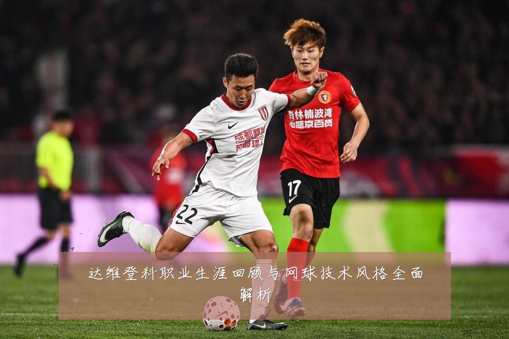 达维登科职业生涯回顾与网球技术风格全面解析