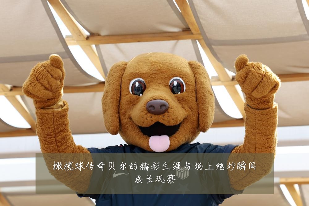 橄榄球传奇贝尔的精彩生涯与场上绝妙瞬间成长观察